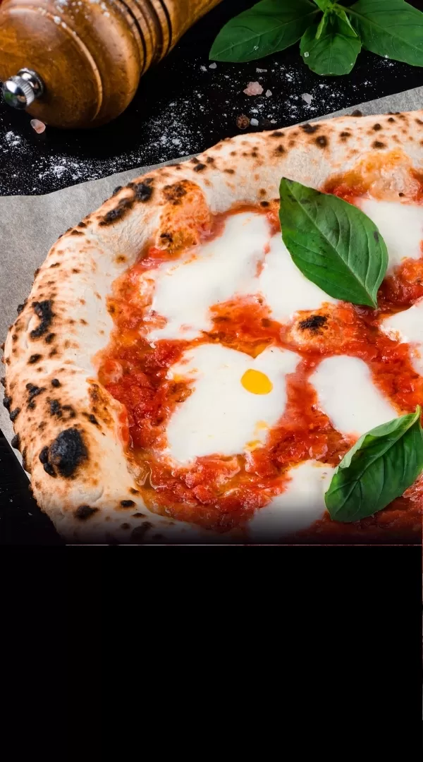 Experience.<br>Evolution.<br>Excellence.