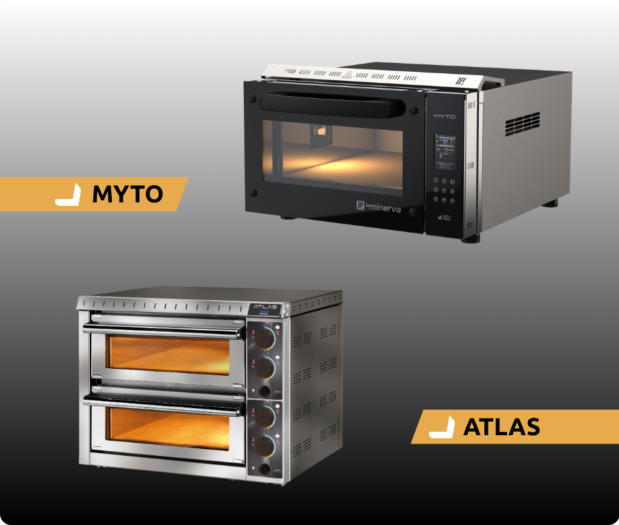 Professional pizza oven: buying guide